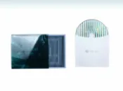 宜家二居 【全新正版】Elephant Gym 大象體操 水底 專輯 CD SC廠牌出品
