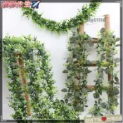 免運🔥桃園出貨藤蔓桉樹葉 圓葉藤條柳葉 常春藤裝飾花 家居裝飾藤條 爬藤 綠葉裝飾藤條 仿真植物尤加利Tzz