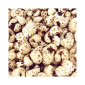 (店+)臺灣特產 - 薏仁 爆米花 300 g (原味/焦糖/海鹽焦糖/北海道牛奶）