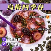 烏梅四季春 冷泡茶 水果茶 茶包 四季春青茶 烏梅茶 酸甜果香 冷泡熱泡 獨立茶包 台灣現貨 手搖飲 中秋節伴手禮 茶