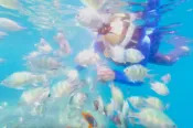 【Klook客路】道威士 納帕林沙丁魚風暴、Hinagdanan 洞穴及帕米拉坎島之旅 現在預訂，明日使用 私人遊 私人導覽 立即確認 
