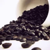 Gustare caffe 精選薇薇特南果咖啡豆(1磅)