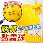 lovephone 誘蠅球 捕蠅球 黏蒼蠅球 果蠅誘捕劑 果蠅餌劑 果實蠅引誘劑 誘捕器 黏蟲板 誘蟲球 捕蠅器 果蠅黏蟲球 高黏性黏蟲球【A6015】
