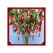 (店+)新春燈籠 立體燈籠 2024新年裝飾 盆景 春節掛飾 植絨燈籠 春聯 除夕 春/福袋/元寶/方形燈籠/圓形燈籠