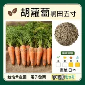 【台灣出貨 電子發票】 黑田五寸胡蘿蔔 種子 菜籽 種籽 空中花園藝世界