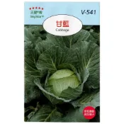 (店+)【天橙種子】甘藍種子 高麗菜 Cabbage 結球類種子 天星牌 穗耕種苗 彩色原包裝