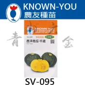 『青山六金 』含稅 農友 SV-095 西洋 南瓜 千歲 栗子 蔬菜 新鮮 種子 混合色 家庭 園藝 栽培 種苗 約6粒
