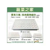 (店+)【蔬菜之家】景天八角多肉栽培組合4種規格含八角盆白色+育苗盤白*1有無孔 盆栽容器 花器 盆器