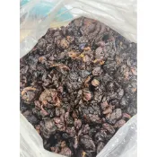 東山龍眼肉 桂圓 龍眼肉 龍眼乾 半斤裝300公克/盒 (無殼)  龍眼乾113年現貨