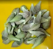 食用石蓮花 500g 無農藥 多肉植物 可食用 可觀賞 好處多