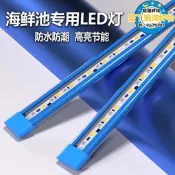 【現貨 可開發票】海鮮池專用燈魚池燈魚缸燈led燈防水燈專用海鮮燈照明燈水族燈