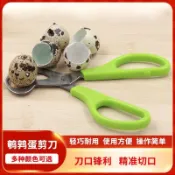 {桃園精品}鳥蛋剪刀鵪鶉蛋剪刀不鏽鋼剪蛋器切蛋器蛋殼切割器蛋殼分割器剪子