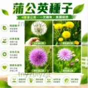 當天發💎蒲公英種子【1000粒】 婆婆丁 四季種植 耐熱耐寒 新手易種易活 發芽率高 可觀賞 可食用
