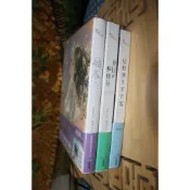 一本$228剩 飛鳥【唯美插畫珍藏限量書衣版】首刷限量贈名家插畫典雅藏書票❤️ / 這個寒冬不下雪【紀念版】