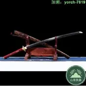 【桃園出龍泉劍武長居太肋差長劍katana未刃