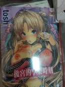 成人漫畫 C3422  後宮的享樂時刻 tosh 全新 新視界 H漫A漫