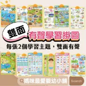 《風車》FOOD超人有聲學習掛圖 (雙面) /觸控學習掛圖- 交通 動物  有聲掛圖