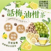 話梅油柑薄荷茶 油甘茶 油甘果 檸檬茶 30入/袋 話梅 薄荷 沖泡飲品 水果茶包 冷泡茶 冷泡茶包 清爽回甘 茶包 茶