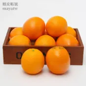 (MOLD-A_053)出口高仿真水果 假水果蔬菜模型 仿真橙子 柳丁柳橙 新奇士 重型