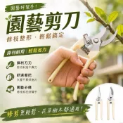 園藝剪刀 高碳鋼園藝剪刀 高碳鋼修枝剪 剪刀 高枝剪 果樹剪 粗枝剪刀 樹枝剪 修枝剪 花剪 檳榔剪刀 花草剪刀 職務剪