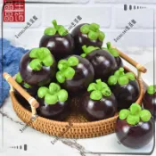 優購精選批發👍仿真山竹模型 加重山竹教具假水果店櫥柜家具裝飾攝影展示道具