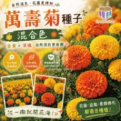 萬壽菊種子-花期長、持續開花 花海效果最穩、最好種的經典款 -園藝倉庫