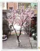 ◎花語人造花資材◎人造樹＊6尺2叉真幹櫻花樹＊櫥窗~店面~造景佈置~會場景觀