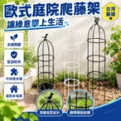 臺灣嚴選【30天熱銷2636件】歐式庭院爬藤架陽臺綠植支架可拚接多層飄香藤薔薇花架子室內家用