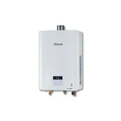 (店+)【林內】RUA-D1600WF 屋內型16L強制排氣熱水器 + GRUNDFOS 葛蘭富 熱水器加壓機