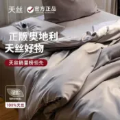 歡樂購物網 床包組 a類100支萊賽爾天絲四件套夏季涼感冰絲被套蘭精天絲床單三件套