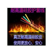 (店+)硅膠電線 超軟兩2心3芯4耐高溫內外硅膠絕緣護套線熱熔器防燙電纜