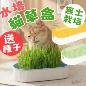 （送種子兩包🔥）水培貓草盒 貓草 貓咪零食 貓草盆栽 貓草水培盒 貓薄荷 小麥草種子 貓草種籽 貓草種植 高雄批發倉