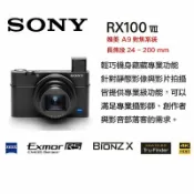 鋼普拉 eye攝影 【eYe攝影】現貨 送首購禮 公司貨 SONY RX100 VII M7 數位相機 類單眼 4K 長焦段 翻轉螢幕