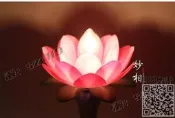【可開發票】現貨：佛具佛前供燈光明燈長明燈佛觀音燈粉色蓮花燈臺灣風格花朵大氣【满额免運】
