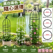 ✨臺灣熱銷✨歐式庭院爬藤架陽臺綠植支架可拚接多層飄香藤薔薇花架子家用