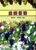 【三民網路書店】盆栽葡萄 作者：鮑榮洲;金華巖 合編