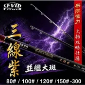 [可當天寄出]  100號 120號10尺猛哥釣具 EVO 海力士 龍膽石斑竿 三線紫 班竿