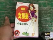 懷舊記念二手成漫 俏麗 女房東 新視界 中文版 A漫H漫 成人漫畫書 18禁 未成年請勿購買 H87