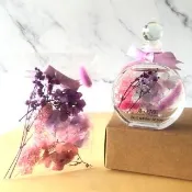 【A-ONE 匯旺】浮游花DIY材料包 滿天星 乾花 天然植物風乾 楓葉 秋葉 繡球花 乾燥花 蓬萊松 H16