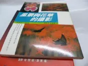 買滿500免運 / 崇倫《風景與花草的攝影》冠倫文化│張豐榮