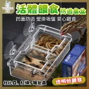 【野境】活體餵食 🦔 防逃逸吸盤食盆 杜比亞 餵食盆 守宮 食盆 爬蟲 杜比亞 紅蟑 變色龍 蜥蜴 蛙類