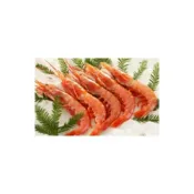 (店+)海誠水產 天使紅蝦 規格：L1 玥來玥好吃