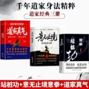 正版全新 3冊 意拳站樁功 意無止境意拳精要全解 道家真氣道醫健身精要