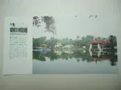 明信片- 空白明信片 台中中山公園 明信片