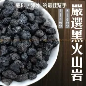 宏洋水族🔥【印尼-黑火山岩】火山岩 底砂 造景 魚缸造景 水草 過濾 螯蝦 蘇蝦 魚缸底沙 魚缸濾材 造景石頭 火山砂
