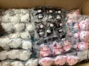 【國內現貨，日本正品】 Gloomy beer暴力熊賽博朋克