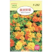 【天橙種子】黃波斯菊種子 F-282  全年可播種 花卉類種子 天星牌 穗耕種苗 家庭園藝 彩色原包裝