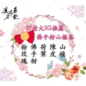 [漢方本草堂]佛手柑山楂茶 網紅ig頻道推薦  山楂陳皮荷葉佛手柑粉玫瑰5朵