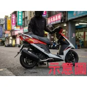 【葳葳精品】~惜福品~ RX110  黑鐵/白鐵  直通/回壓 排氣管 (沒聲音檔)