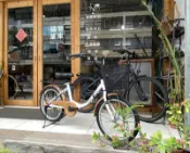 20吋 牛奶車 淑女車 童車
